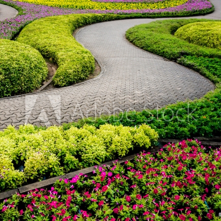 AdobeStock_254218284_Preview